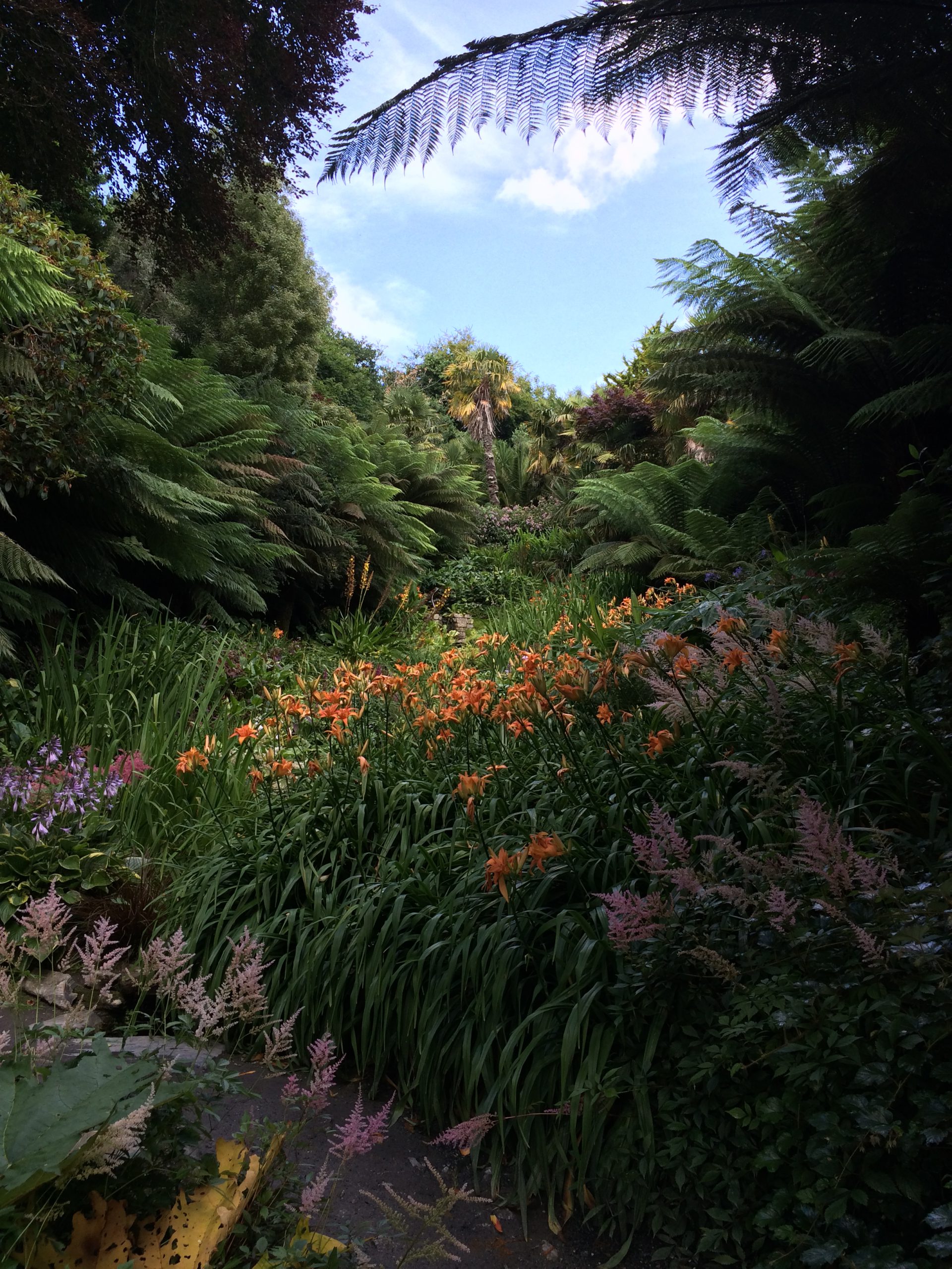 Trebah Cornwall